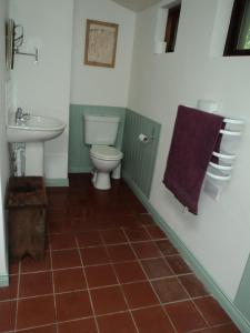 a bathroom with a toilet and a sink at Shiplake Mountain Farmhouse in Dunmanway