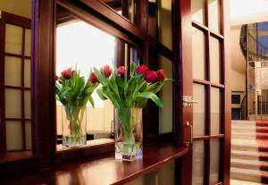 Ảnh trong thư viện ảnh của Zlatý Lev Žatec ở Žatec