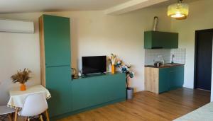 a kitchen with a green cabinet with a tv on it at Bazaleti Hut in Bazalet'i
