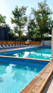 a swimming pool with chairs and blue water at Bazaleti Hut in Bazalet'i