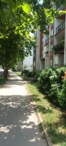 an empty street in front of an apartment building at Apartman Lavanda in Vrdnik