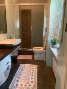 a bathroom with a toilet and a shower and a rug at Camere con piscina Tenuta BRICCHETTO in Castagneto Po +17 photos