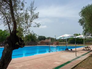 ein Swimmingpool mit einem Baum und einem Sonnenschirm in der Unterkunft Anna Glamping in Fuen Negra