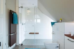 a bathroom with a shower and a toilet at SunCliff Lodge - exklusive private Sauna, Sanarium, Kamin und Meerblick in Dranske