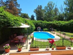 a swimming pool in a yard with potted plants at Vila Diamant in Neptun