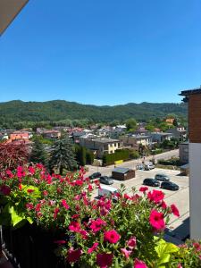 a view of a city from a balcony with pink flowers at Apartament SANOVA 50 in Sanok