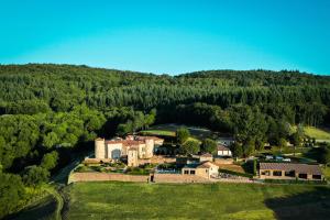 an aerial view of a house in the middle of a forest at Château de Cachard in Boffres