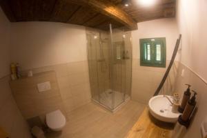 a bathroom with a shower and a toilet and a sink at Chata U3G Kobyly-Mlynky in Kobyly