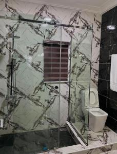 a bathroom with a glass shower with a toilet at Davic-Mart Apartments Port Harcourt in Umudara +23 photos