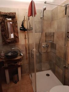 a bathroom with a shower and a toilet and a sink at Appartement Melchior - Turm Krk in Sveti Vid-Miholjice