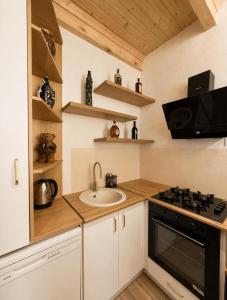 a kitchen with a sink and a stove at Racha Mountain Shadow in Ambrolauri