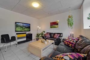 Televisyen dan/atau pusat hiburan di B & B Langagergaard