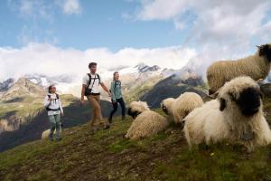 a group of people standing on a hill with sheep at Village Center Apartment Kanne by Inspiringplaces Zermatt in Zermatt