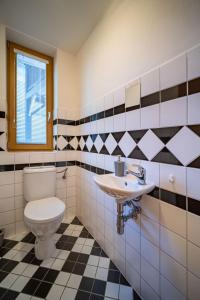 a bathroom with a toilet and a sink at Apartment Riviera 503-8 Lipno Home in Lipno nad Vltavou +20 photos