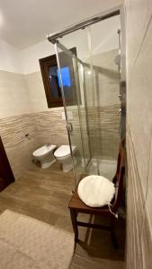 a bathroom with a shower and a toilet and a sink at Stazzo gallurese Li Nibbareddhi in Aglientu