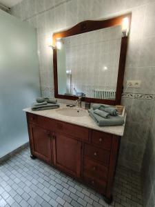 a bathroom with a sink and a large mirror at L échappée verte in Gien +25 photos