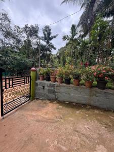 a bunch of potted plants sitting on a fence at Ira Homestay in Sringeri