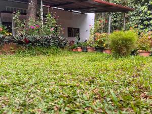 a yard with plants and flowers in a house at Ira Homestay in Sringeri +2 photos