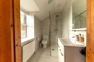 a bathroom with a toilet and a sink and a shower at Stone House , Boyne Valley Views in Donore +36 photos