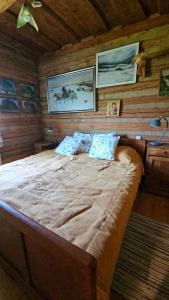 a bedroom with a large bed in a cabin at Cicha Chata in Wójtowa
