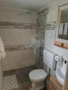 a bathroom with a toilet and a shower and a sink at Kuća za odmor Urša in Brod na Kupi