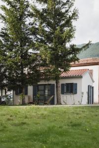 a house with a tree in front of a yard at Villa Eva in Ajdovščina