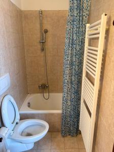 a bathroom with a toilet and a tub and a shower at Albergo Nonaj in Monticello d'Alba