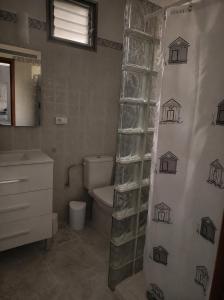 a bathroom with a toilet and a shower curtain at Casa Tomás - Zona Rural in Fasnia