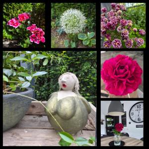 a collage of pictures of flowers and a statue at Ferienwohnung Greitemann in Eslohe