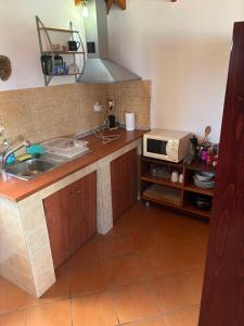 a kitchen with a sink and a microwave on a counter at Nefeli's cozy apartment afytos in Afitos +10 photos