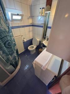 a small bathroom with a toilet and a sink at Nefeli's cozy apartment afytos in Afitos