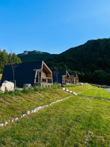 a house on top of a hill with a grass field at Forest Cuib in Predeluţ