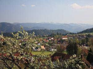 eine Stadt mit Bäumen und Bergen im Hintergrund in der Unterkunft Ferien auf dem Steingrubenhof in Sankt Peter