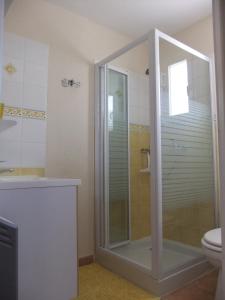 y baño con ducha y aseo. en Gîte à BELESTA en Ariège 09300 en Bélesta