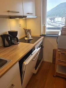 a kitchen with a sink and a counter top at Appartement SISI by MoniCare in Seefeld in Tirol +13 photos