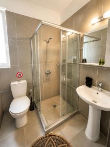 a bathroom with a shower and a toilet and a sink at Maquestas Modern Apartments in Archangelos