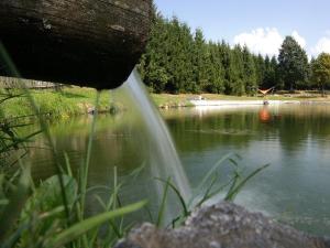 a stream of water coming out of a lake at Schreinerhäusle in Himmelreich