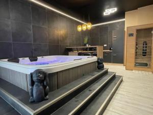 a large bathroom with a jacuzzi tub in a room at Ancram SPA Miskolc in Miskolc +6 photos