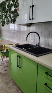 a kitchen with green cabinets and a sink at Apartament nad Soliną in Polańczyk