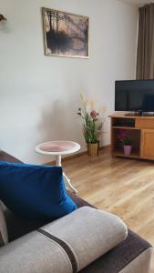 a living room with a couch and a table and a tv at Apartament nad Soliną in Polańczyk