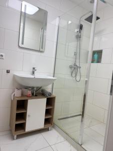 a bathroom with a sink and a shower at Beautiful Apartment in Mönchengladbach mit Wintergarten in Mönchengladbach