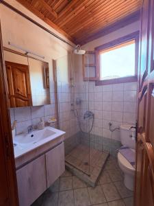 a bathroom with a shower and a sink and a toilet at Dream house Villa in Alyki +61 photos