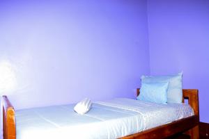 a bedroom with a bed with a blue wall at Larry Homestay in Kapchorwa