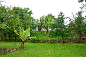 a house with a palm tree in the yard at Larry Homestay in Kapchorwa