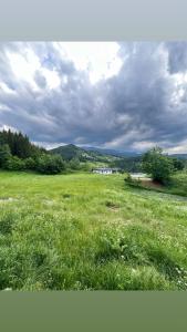 a field of green grass with a house in the distance at Albanica Guesthouse in Dacići