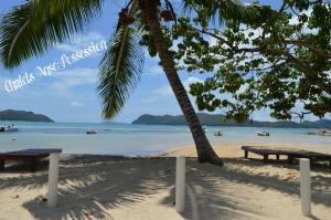 a beach with two picnic tables and a palm tree at Chalets Anse Possession in Baie Sainte Anne