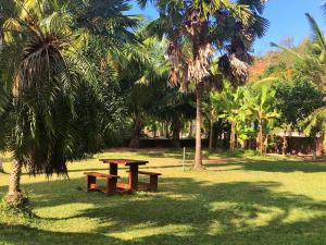 a picnic table in a park with palm trees at Chalets Anse Possession in Baie Sainte Anne