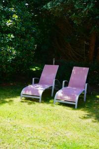 two purple chairs sitting on the grass in a yard at Luxora Apartment in Memmingen