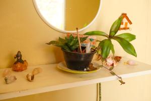 a plant sitting on a shelf with a mirror at Pousada 3 Bruxas Casa de Hóspedes in São Thomé das Letras