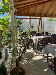 a patio with tables and chairs and a potted plant at Apartments Vlavcheski in Peštani